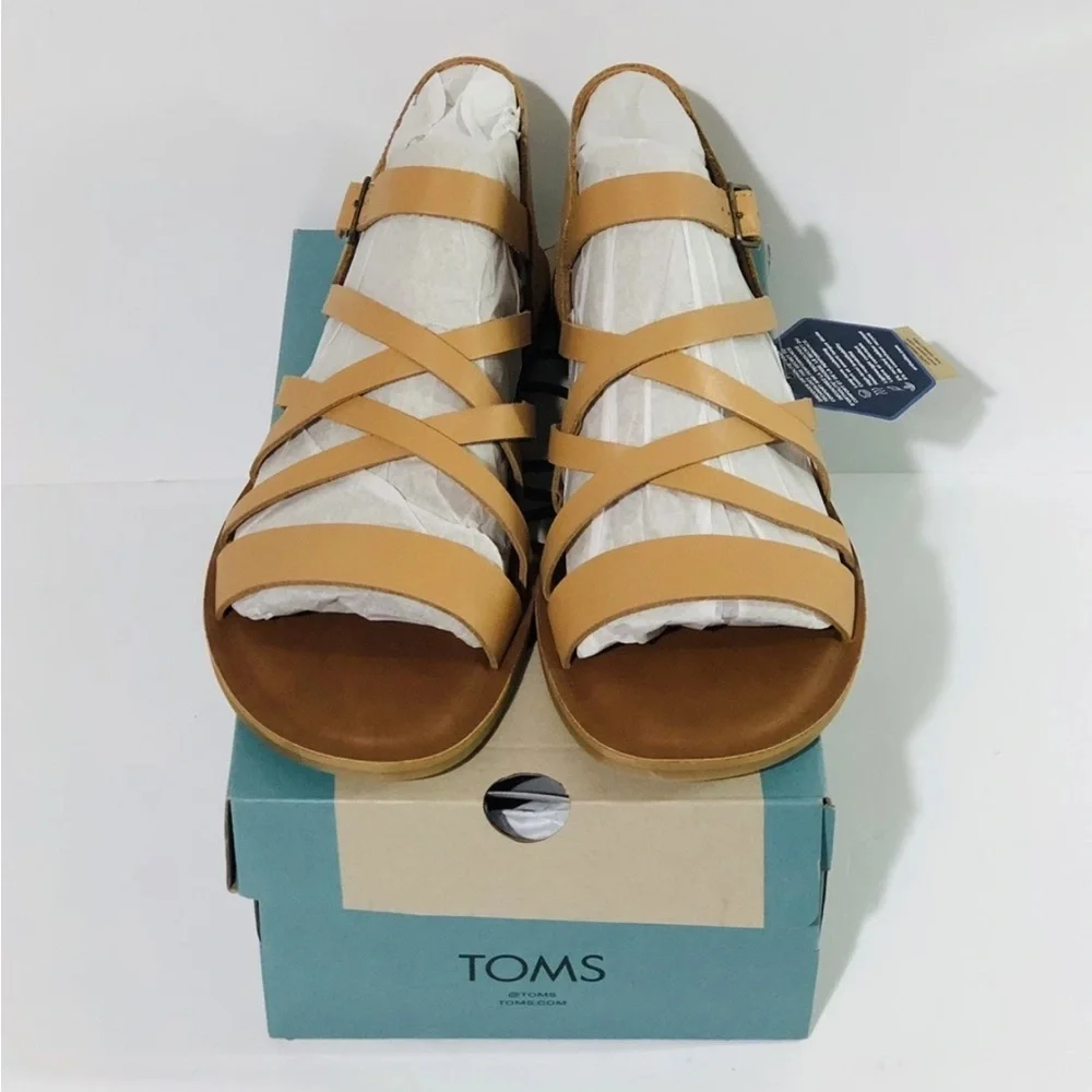 Toms nib sephina